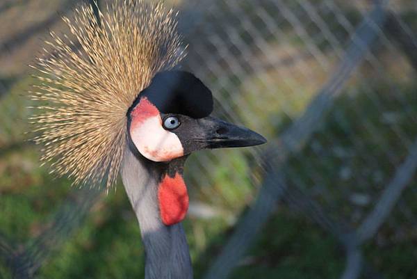 received_1330835010269495 received_1330835010269495