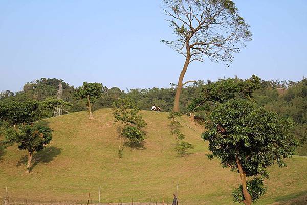 received_1330835060269490 received_1330835060269490