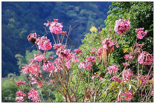 IMG_3534 IMG_3534