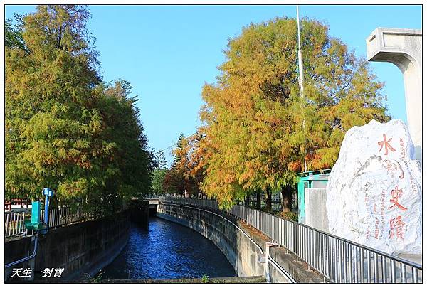 IMG_5178 IMG_5178