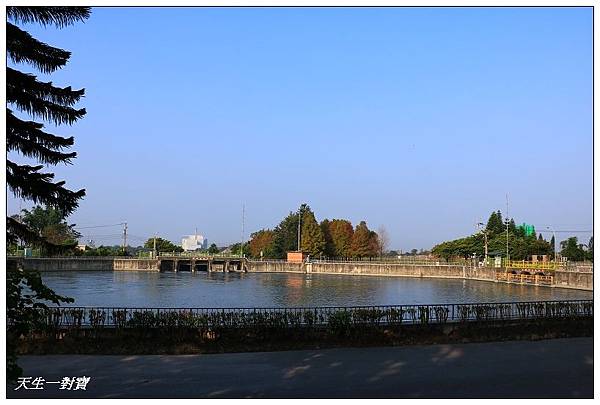 IMG_5204 IMG_5204