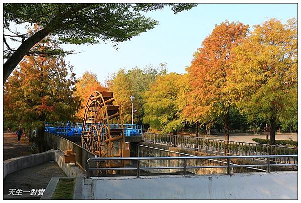 IMG_5226 IMG_5226