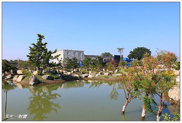 IMG_6376 IMG_6376