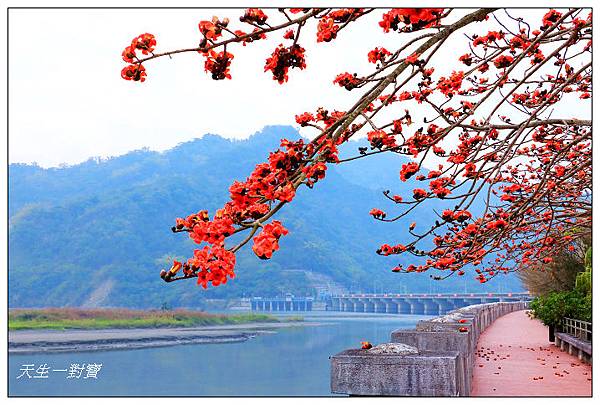 台灣水資源館木棉花盛開了,免費景點參館還有專人導覽,展覽區互動區休閒教育親子旅遊 @ 天生寶家族 :: 痞客邦 PIXNET ::