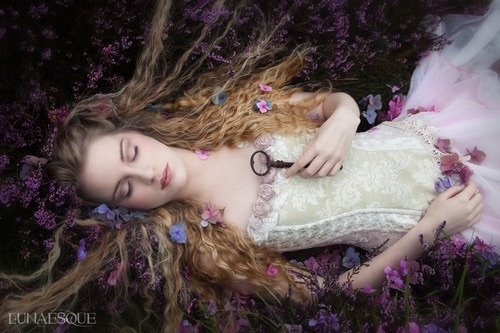 beauty-corset-dream-fairytale-Favim.com-3411165.jpg