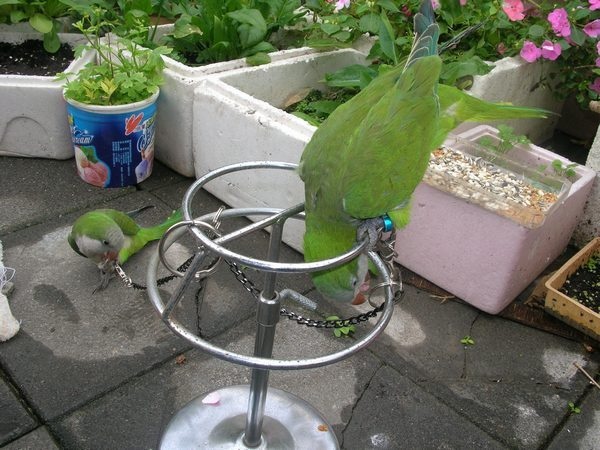 14b7e96a06e757.jpg 14b7e96a06e757.jpg