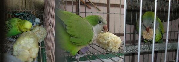 14e43c7874834e.jpg 14e43c7874834e.jpg