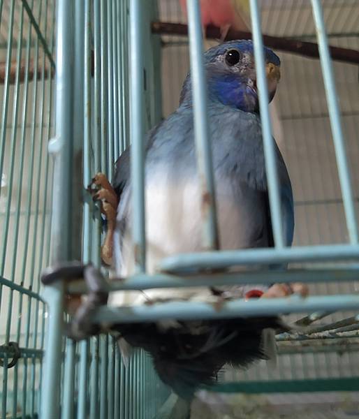 IMG_20210819_104145.jpg IMG_20210819_104145.jpg