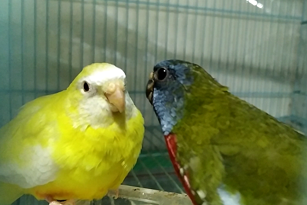 螢幕擷取畫面 (164).png