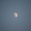 傍晚的月亮.JPG