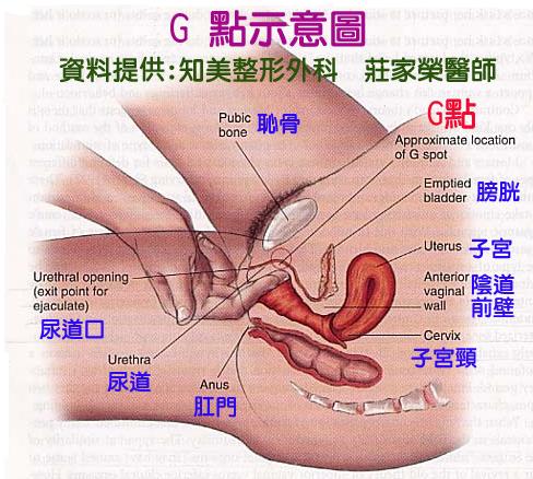 g點圖