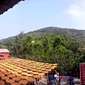 PANO_20151003_145336.jpg