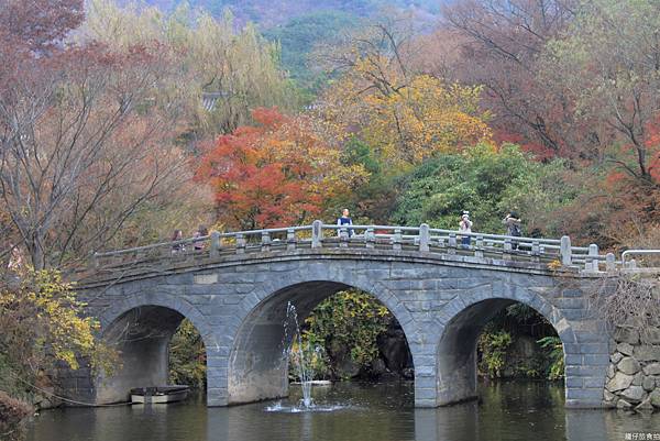 韓國釜山賞楓60.jpg