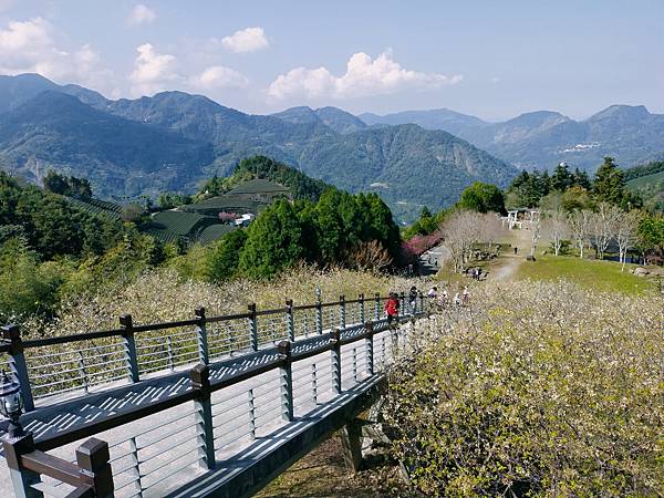 IMG20200208111347.jpg IMG20200208111347.jpg