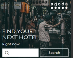 search box asia.jpg