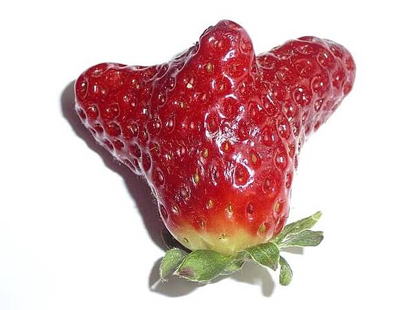 strawberry-1476761-640x480.jpg