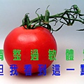 tomato-1465901-640x480.jpg