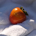 persimmon-4-1518178-640x480.jpg