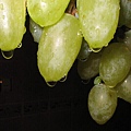 grape-1326783-640x480.jpg