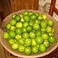 keylime-1255641-640x480.jpg