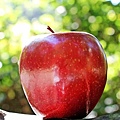 apple-1702316_640.jpg