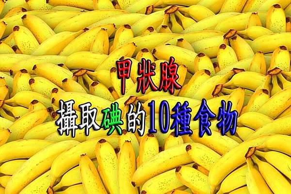 甲狀腺攝取碘的10種食物