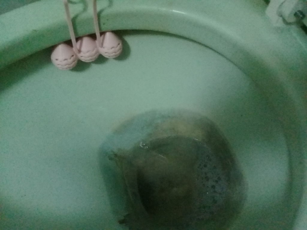 20180206_121843.jpg 試用