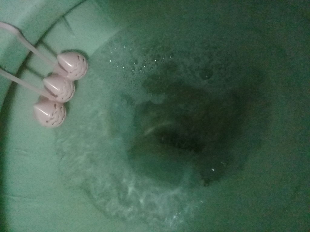 20180206_121950.jpg 試用