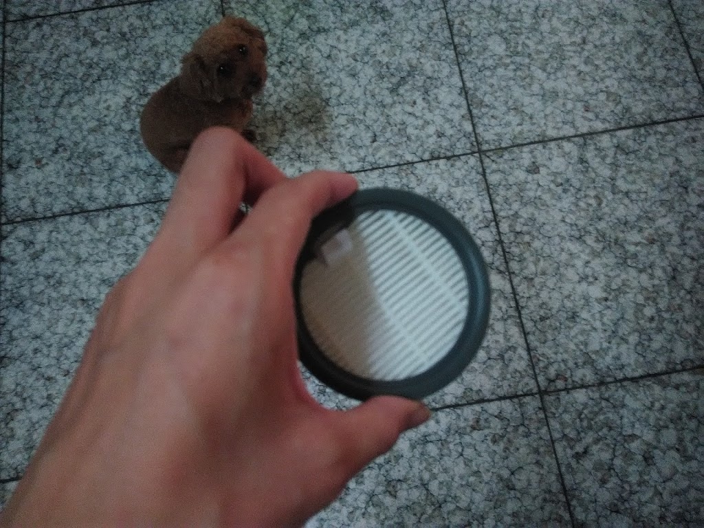 P_20190606_083715.jpg 試用
