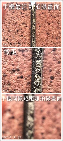 手機殼開箱文_538 手機殼開箱文_538