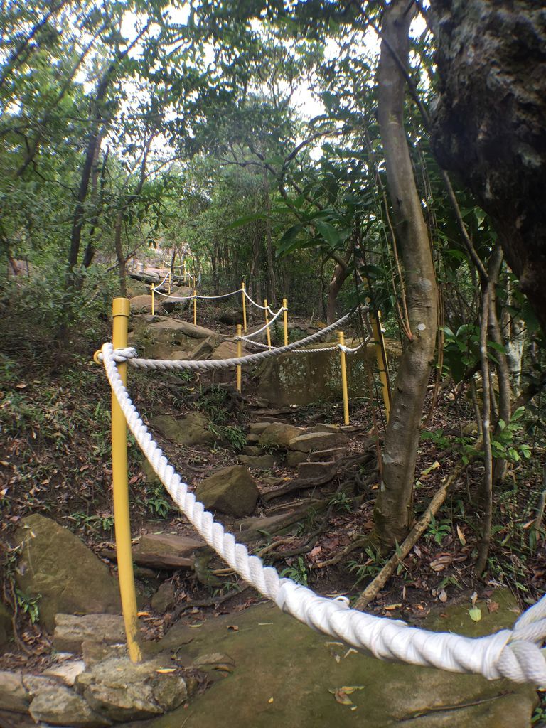 台北登山-金面山親山步道-捷運西湖站電影情節剪刀石大岩壁【丁小羽登山篇】