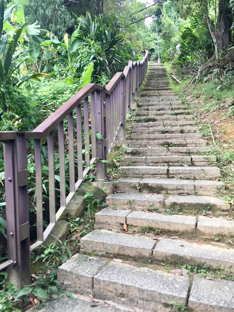 台北南港登山-南港山縱走親山步道-來到四獸山登上九五峰【丁小羽登山篇】