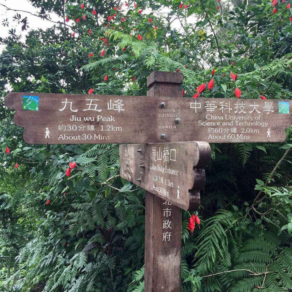 台北南港登山-南港山縱走親山步道-來到四獸山登上九五峰【丁小羽登山篇】