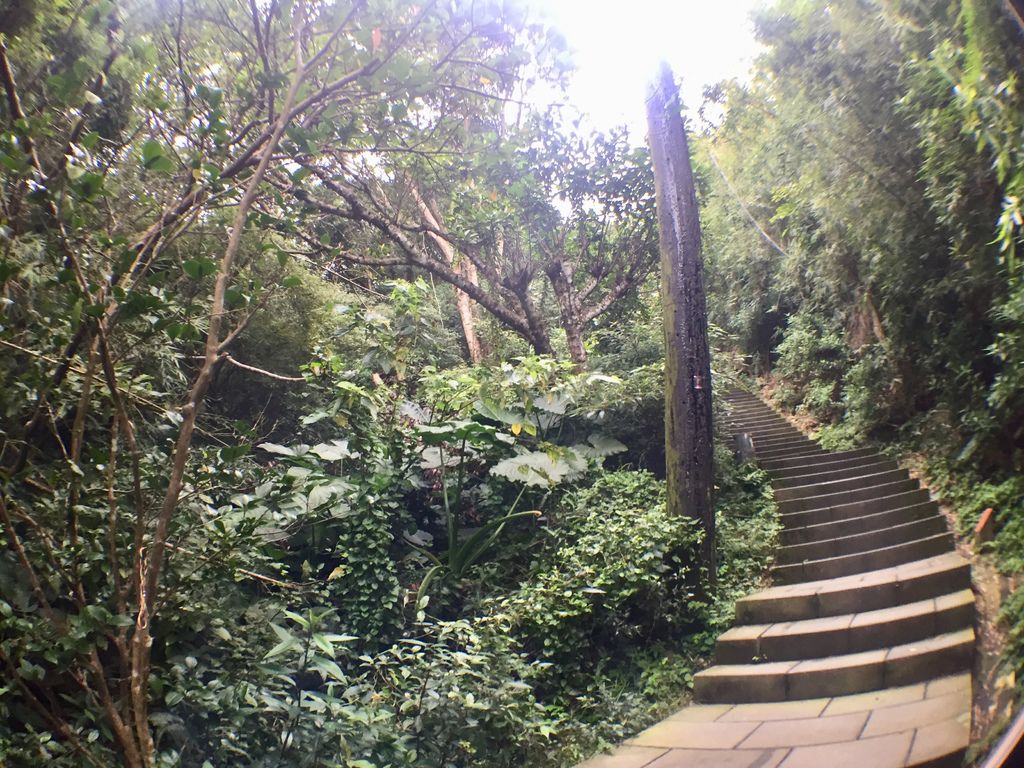 新北景點-觀音山硬漢嶺登山步道，登上硬漢碑遠眺台北美景
