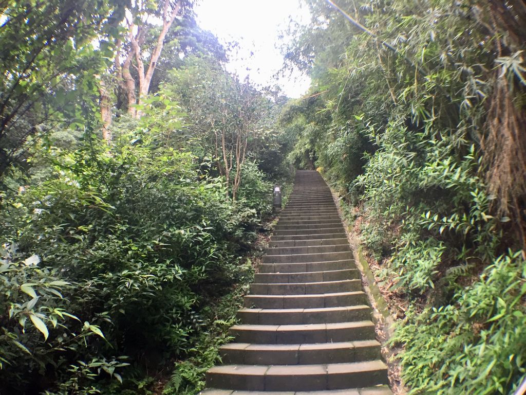 新北景點-觀音山硬漢嶺登山步道，登上硬漢碑遠眺台北美景
