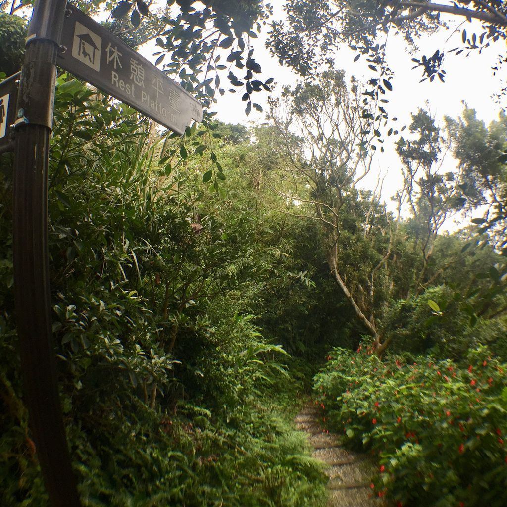 新北景點-觀音山硬漢嶺登山步道，登上硬漢碑遠眺台北美景