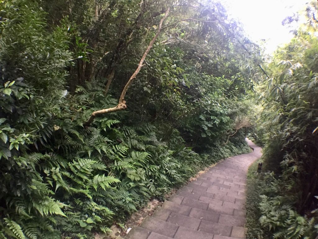 新北景點-觀音山硬漢嶺登山步道，登上硬漢碑遠眺台北美景