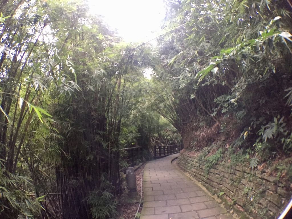 新北景點-觀音山硬漢嶺登山步道，登上硬漢碑遠眺台北美景