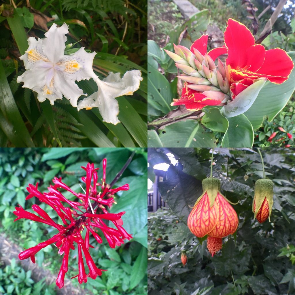 新北景點-觀音山硬漢嶺登山步道，登上硬漢碑遠眺台北美景