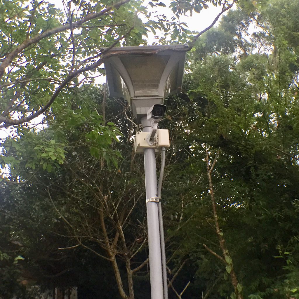 新北景點-觀音山硬漢嶺登山步道，登上硬漢碑遠眺台北美景