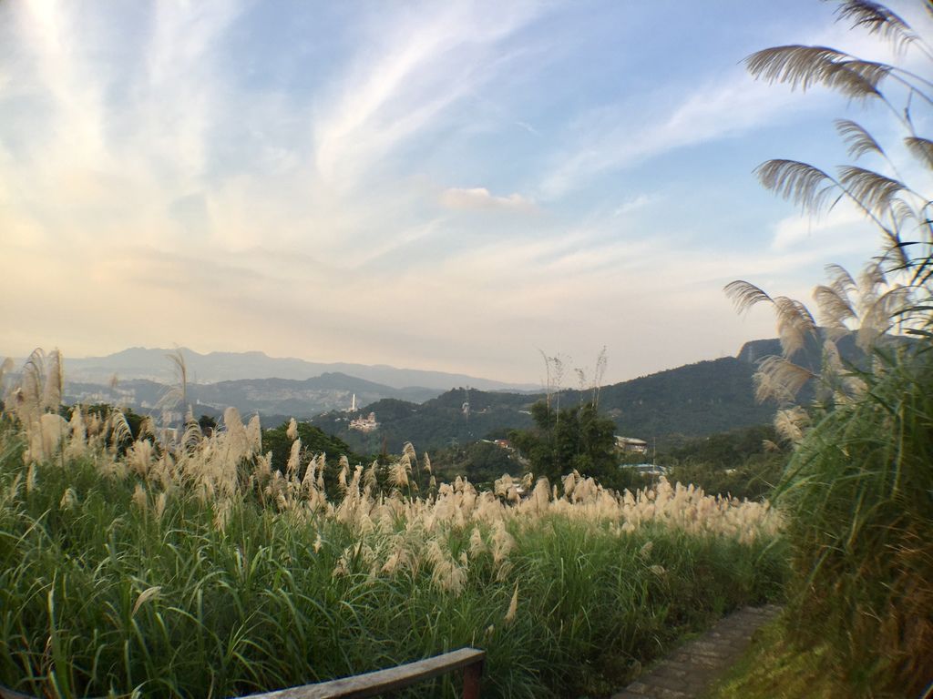 台北登山-樟樹樟湖環狀步道-旅遊登山美食一次蒐集~貓空纜車旁農村風情【丁小羽登山篇】