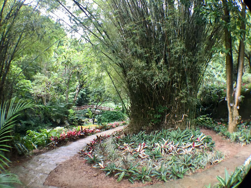 台北內湖登山步道-出發圓覺寺步道的『圓覺瀑布』,感受大自然的芬多精
