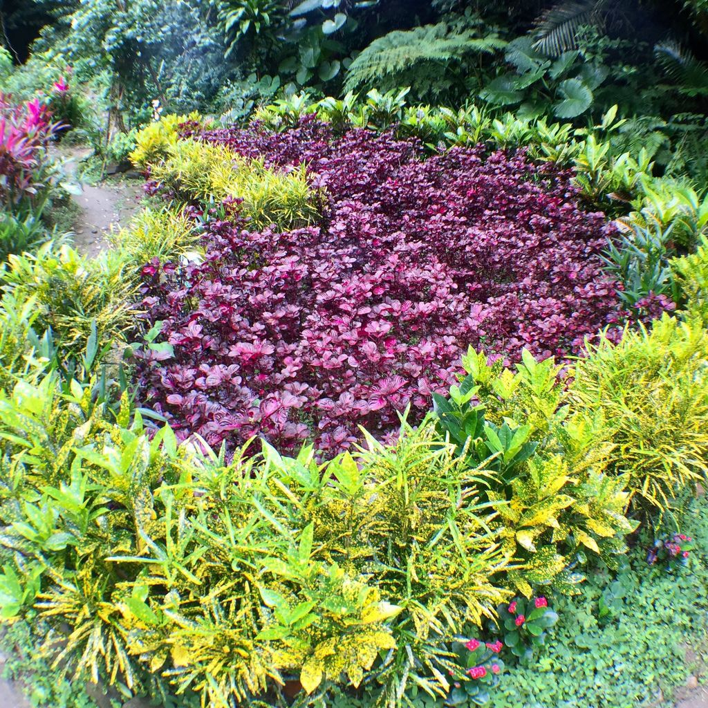 台北內湖登山步道-出發圓覺寺步道的『圓覺瀑布』,感受大自然的芬多精