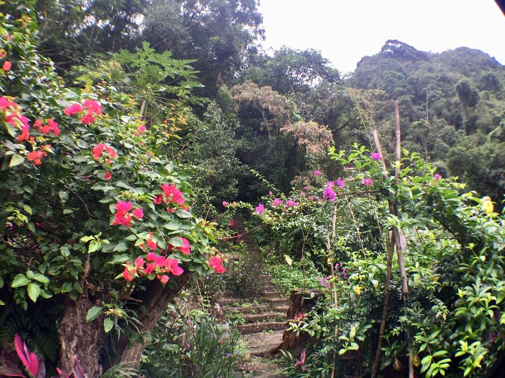 台北內湖登山步道-出發圓覺寺步道的『圓覺瀑布』,感受大自然的芬多精
