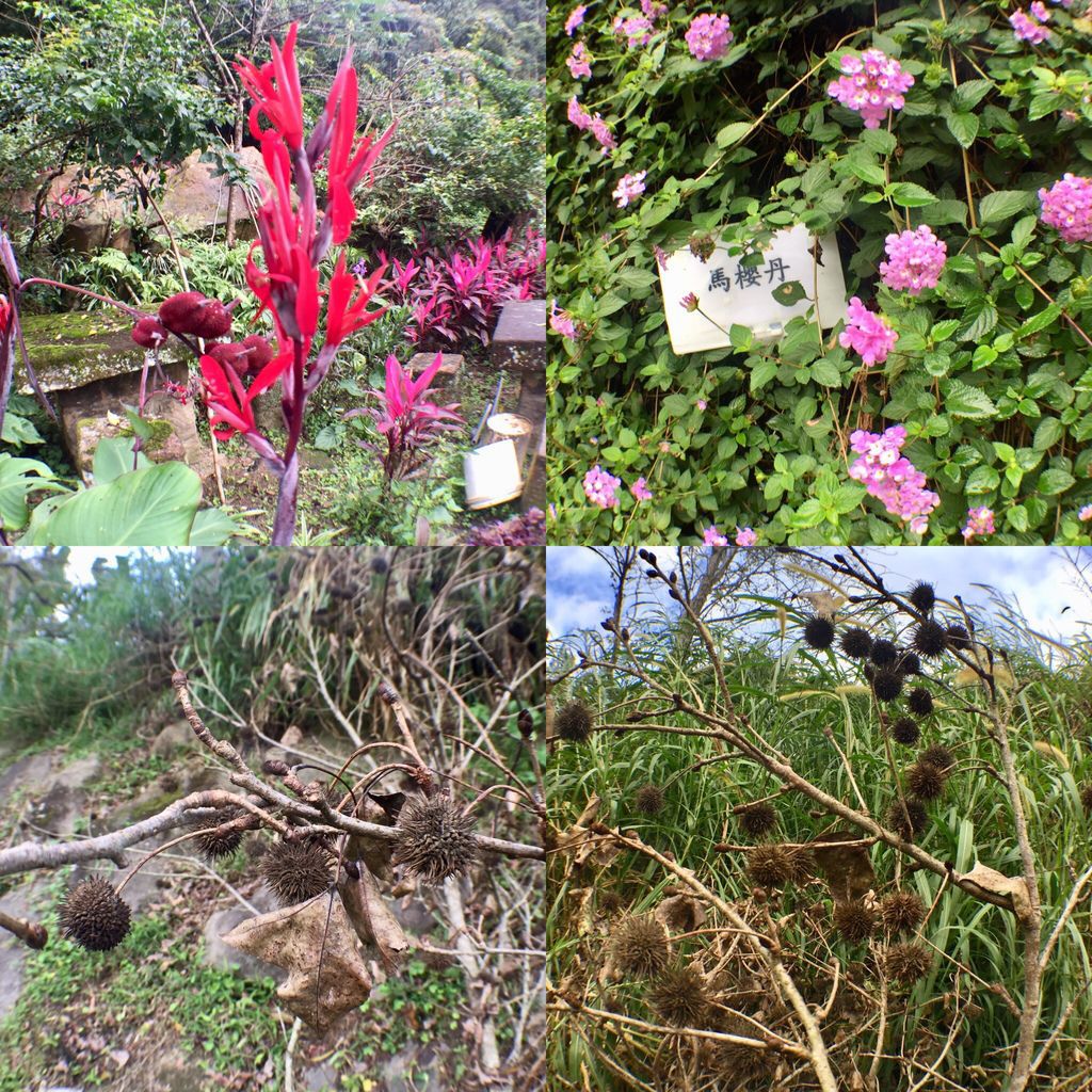 台北內湖登山步道-出發圓覺寺步道的『圓覺瀑布』,感受大自然的芬多精