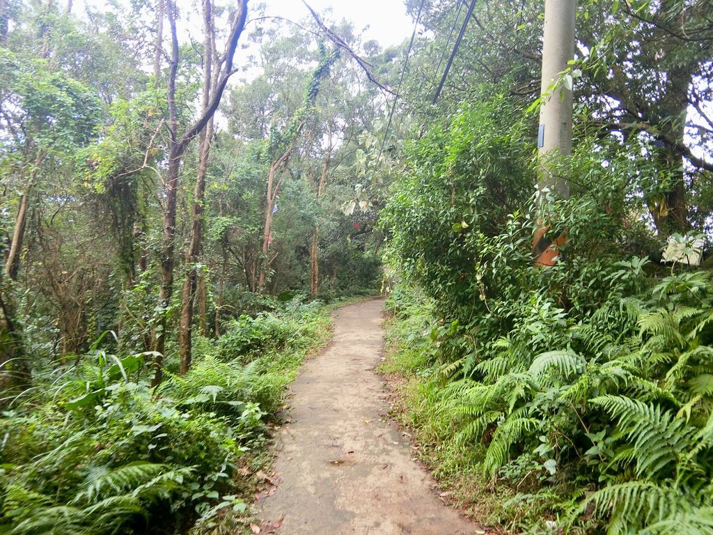 新北三峽登山-鳶山登山步道-三峽老街一覽無遺美景+夜景【丁小羽登山篇】