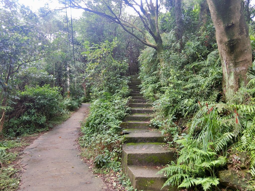 新北三峽登山-鳶山登山步道-三峽老街一覽無遺美景+夜景【丁小羽登山篇】