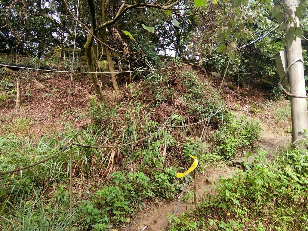 新北三峽登山-鳶山登山步道-三峽老街一覽無遺美景+夜景【丁小羽登山篇】