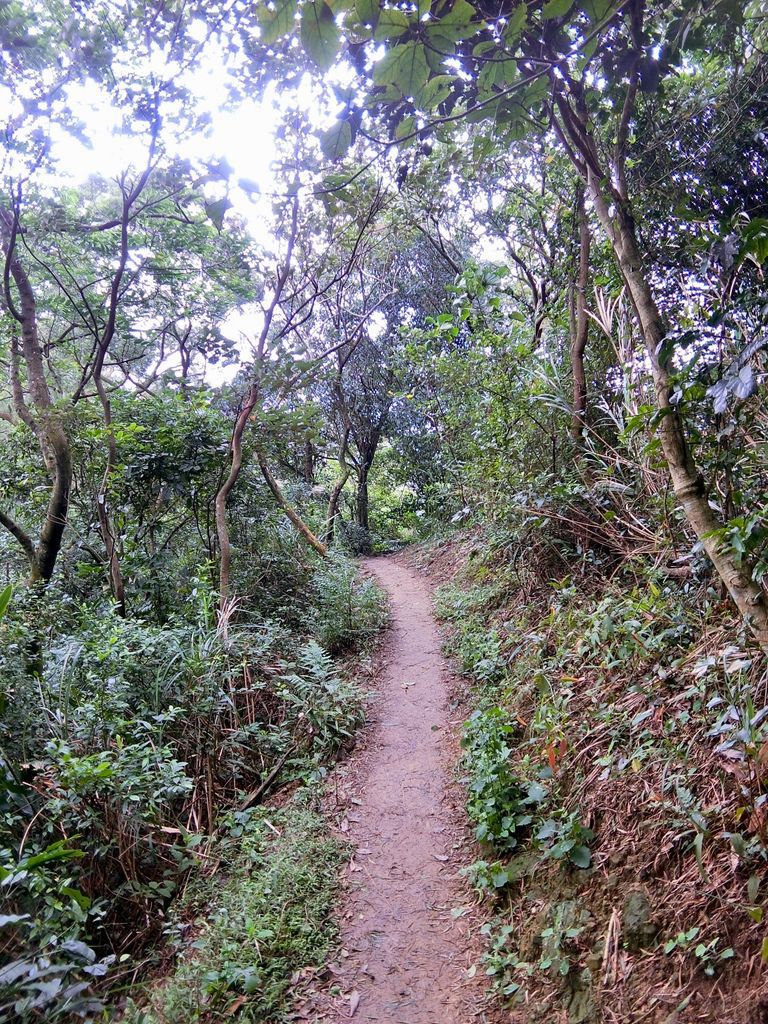 新北三峽登山-鳶山登山步道-三峽老街一覽無遺美景+夜景【丁小羽登山篇】