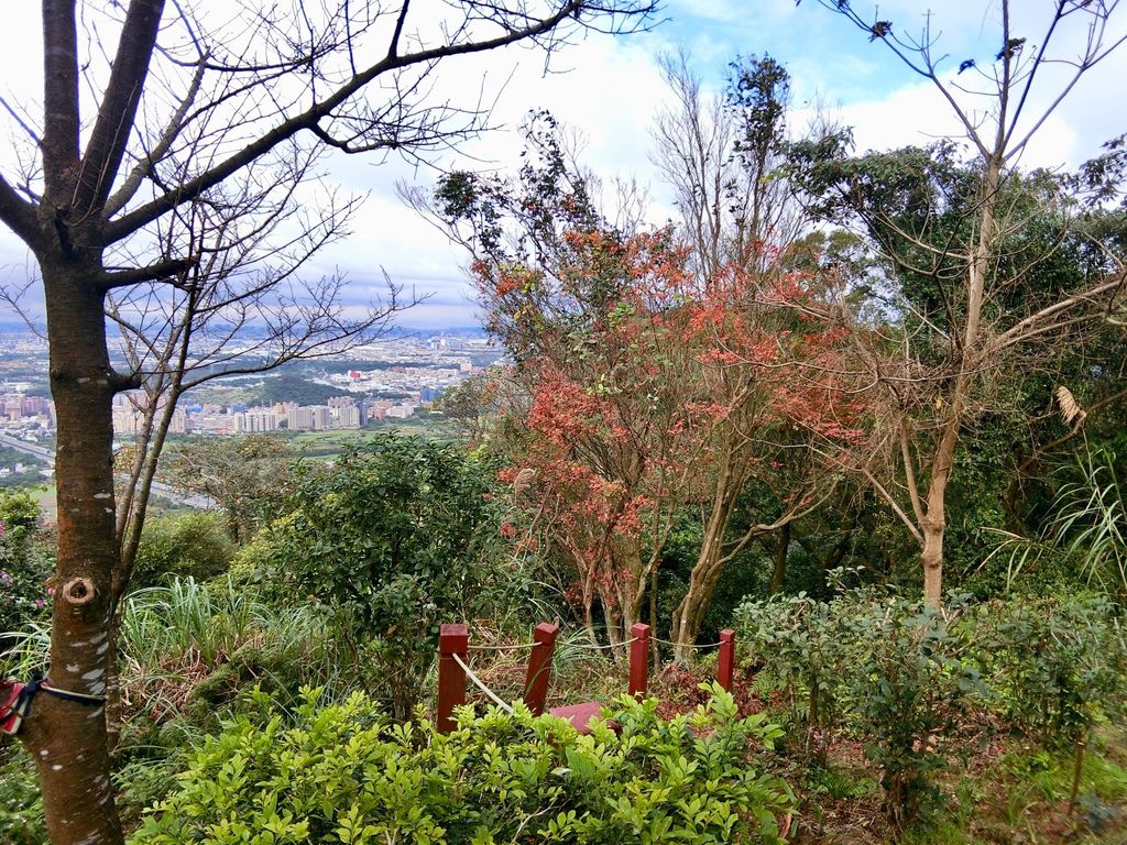 新北三峽登山-鳶山登山步道-三峽老街一覽無遺美景+夜景【丁小羽登山篇】